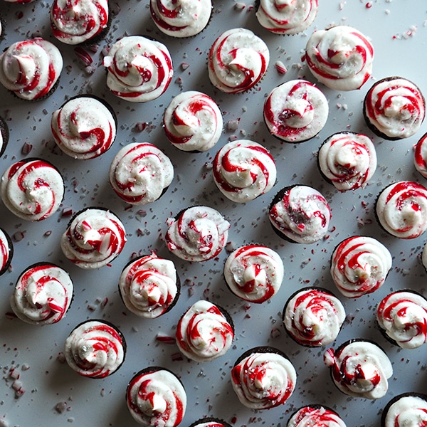 A tray of mini chocolate peppermint cupcakes.