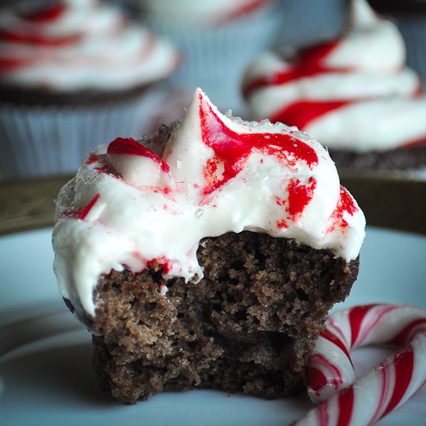 A chocolate peppermint cupcake with a bite taken out of it.