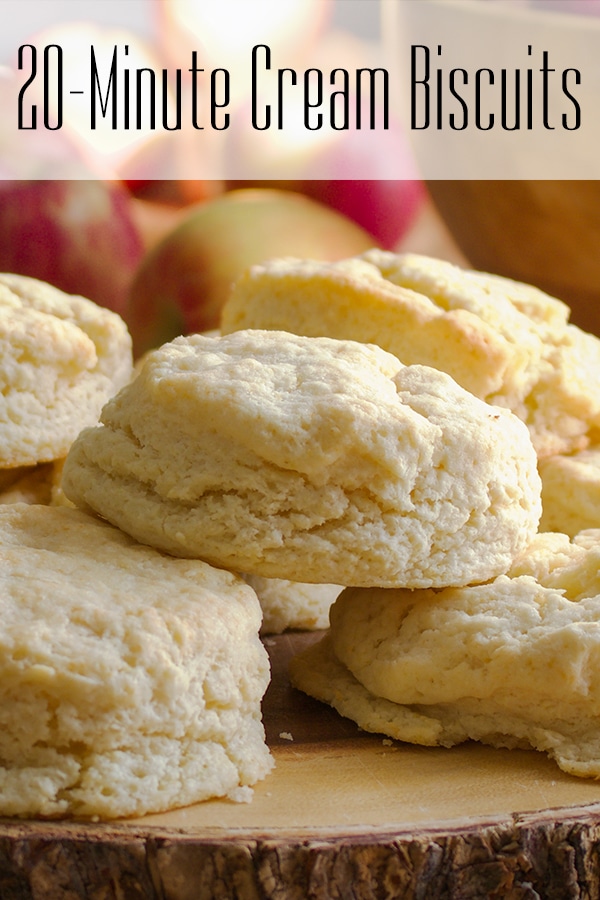 A plate full of simple cream biscuits