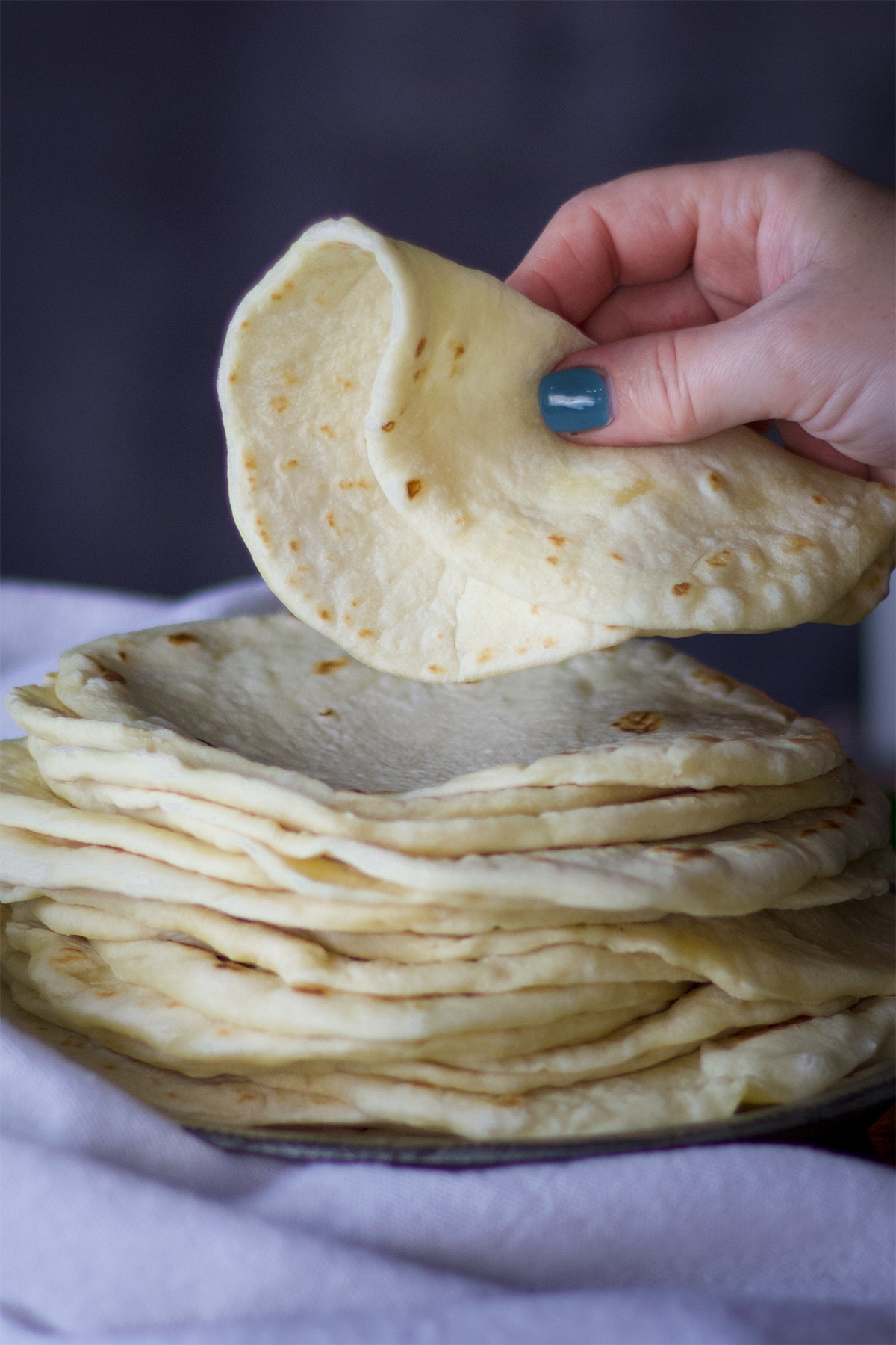 The Best Tortilla Press (2023) for Freshly Made Tortillas, Tested and  Reviewed