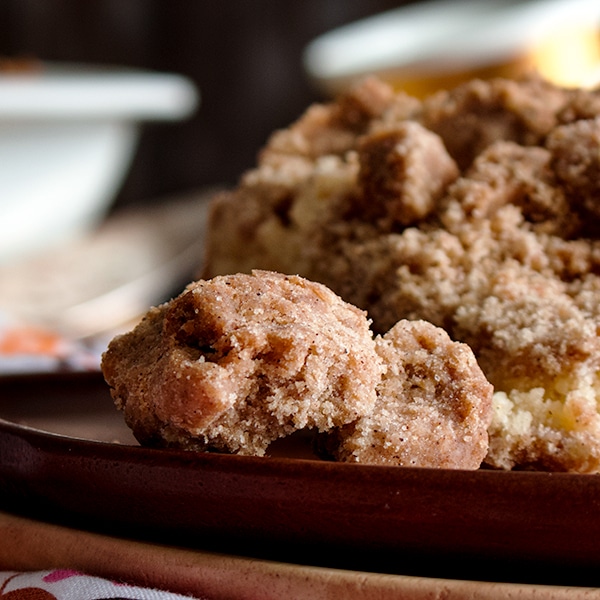 A close up of the brown sugar crumb on a piece of New York Style Crumb Cake