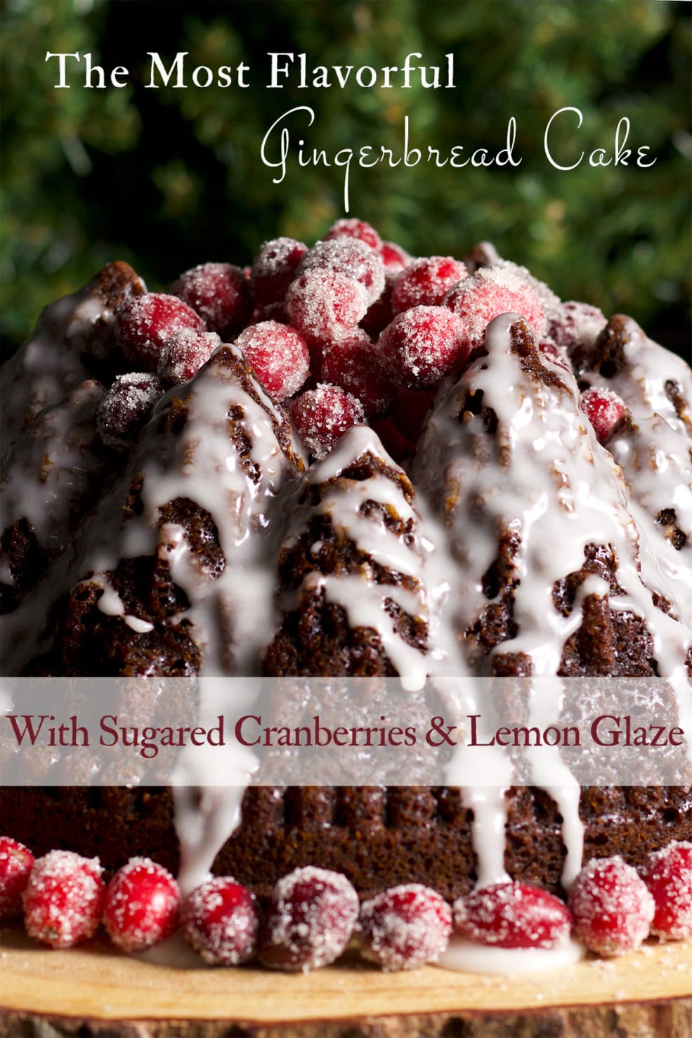 A Gingerbread Bundt Cake covered in sugared cranberries and lemon glaze on a wood serving platter, ready to serve.