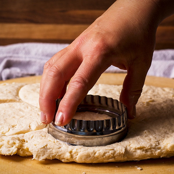 Using a biscuit cutter to cut out biscuits from rolled out dough.