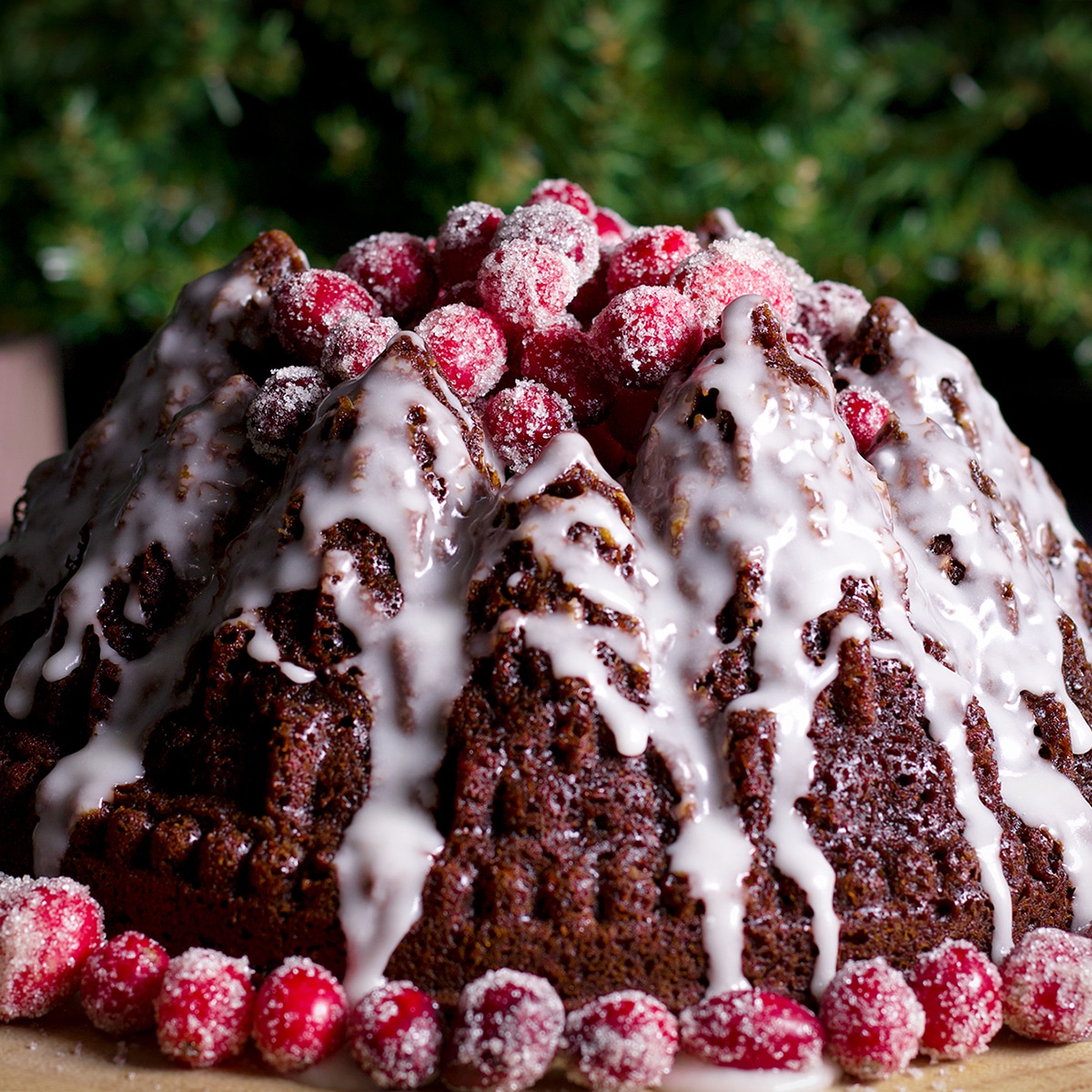 A gingerbread cake that's been baked in a pine tree forest Bundt Cake pan, covered with lemon glaze, and topped with sugared cranberries.