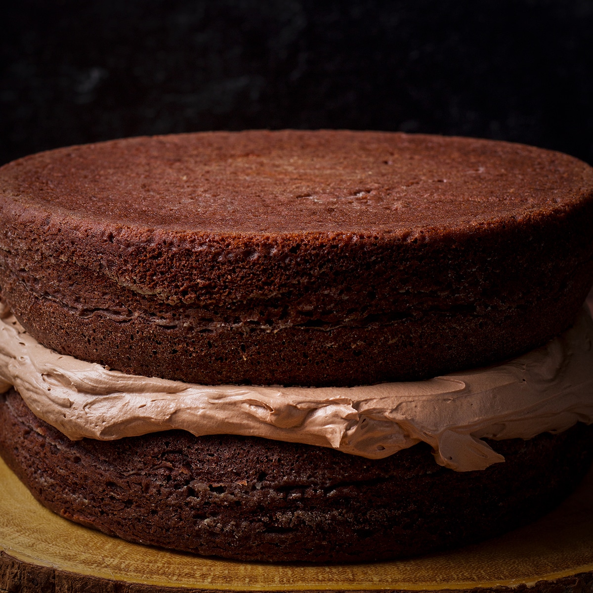 Two layers of dark chocolate cake with a thick layer of milk chocolate buttercream between them.