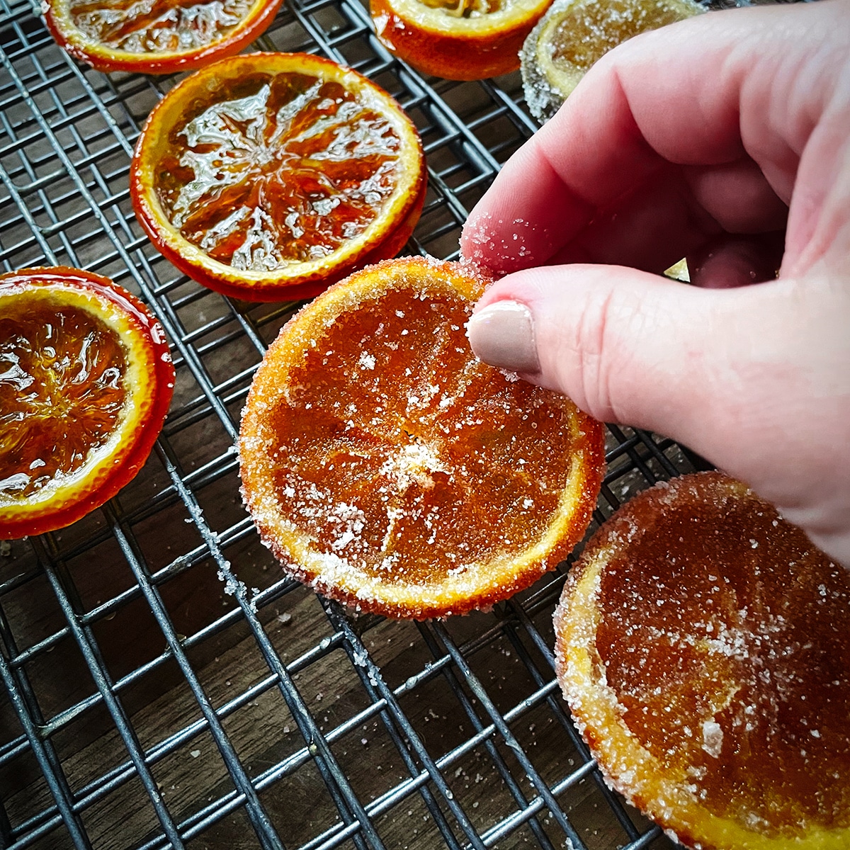 Placing a candied orange slice that's been dipped in sugar on a wire rack.