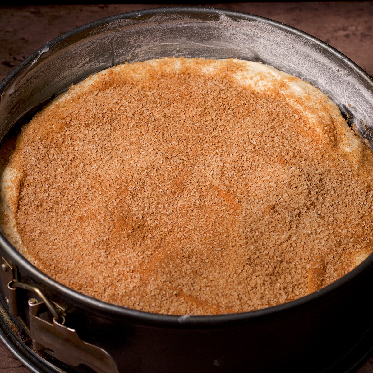 A springform cake pan filled halfway with cake batter that's been topped with cinnamon and sugar.